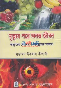 মৃত্যুর পরে অনন্ত জীবন PDF বই - মুহাম্মাদ ইকবাল কিলানী