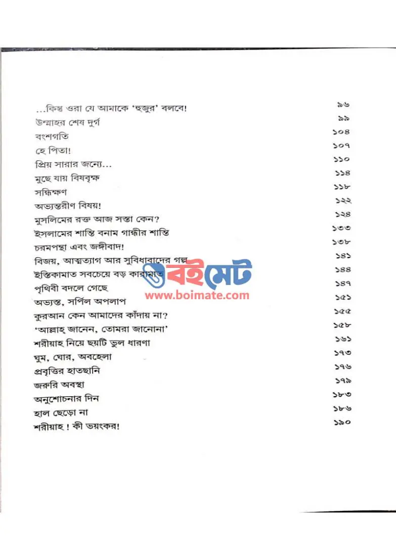 আয়নাঘর PDF (Aynaghor)