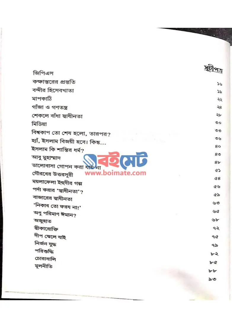 আয়নাঘর PDF (Aynaghor)